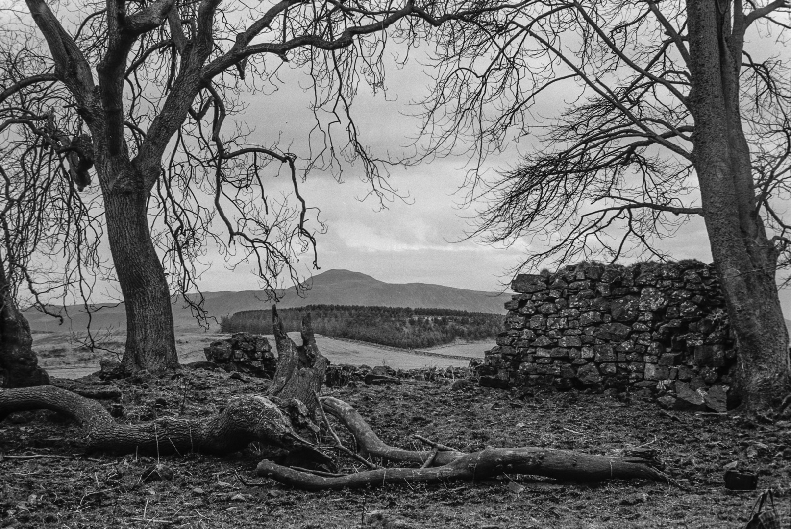 Balvaird Castle, 25 mars 1975.