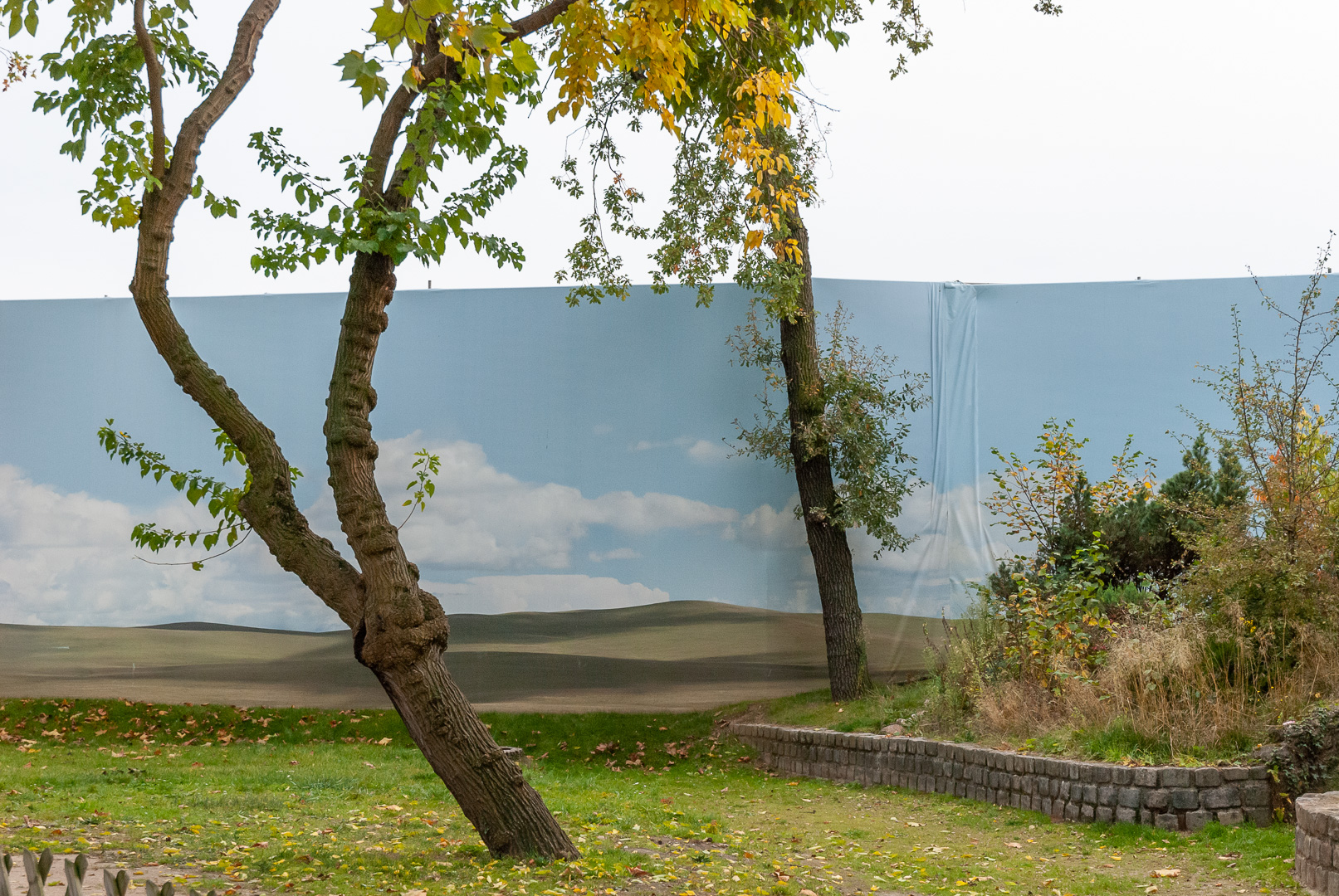 Jardin d'acclimatation, Paris, octobre 2008.